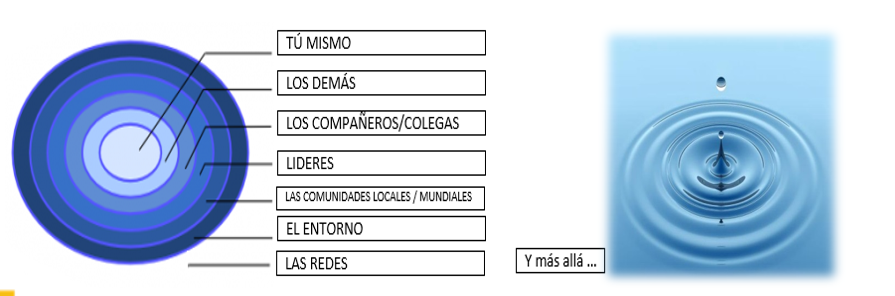 estanque