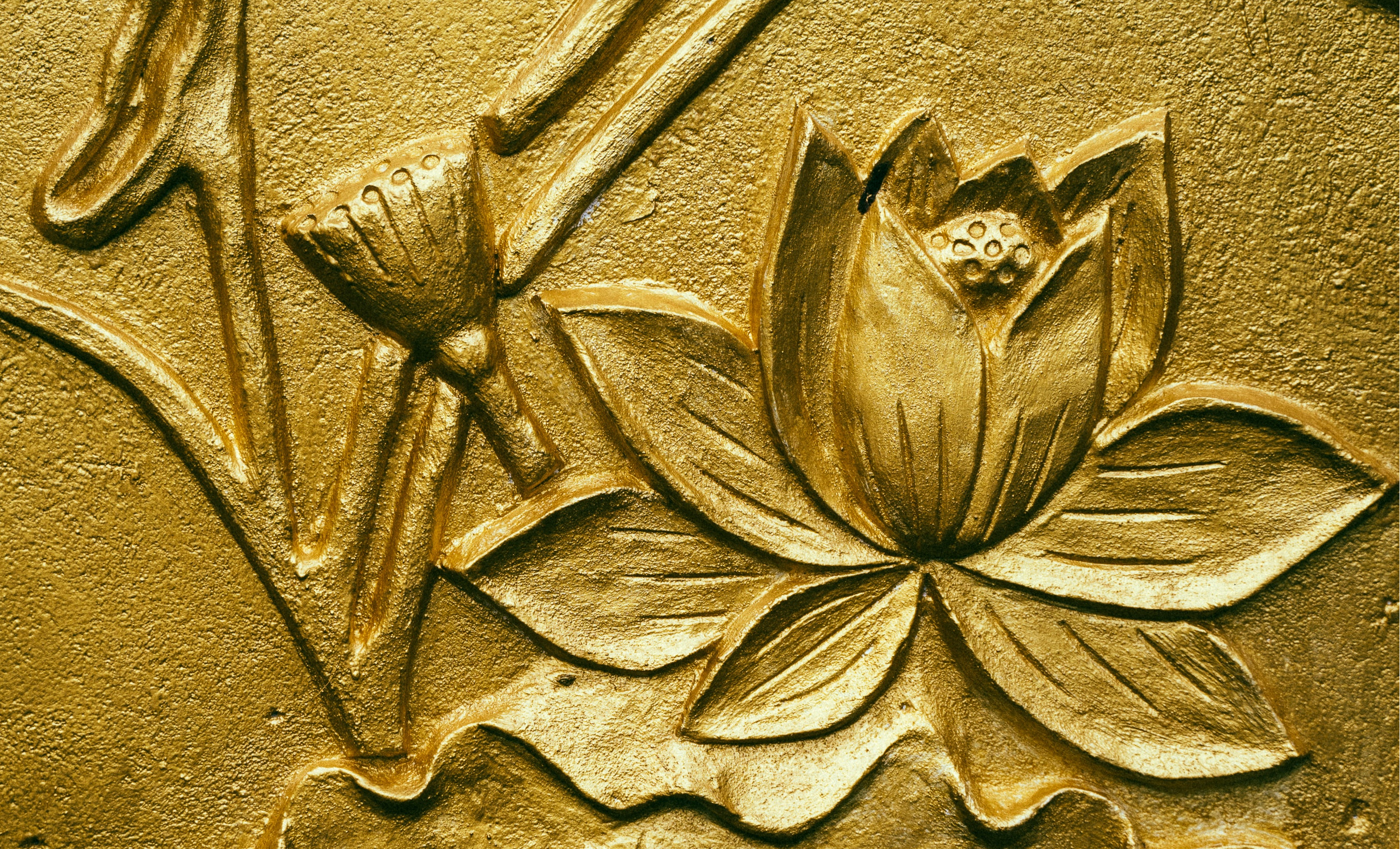 oro1