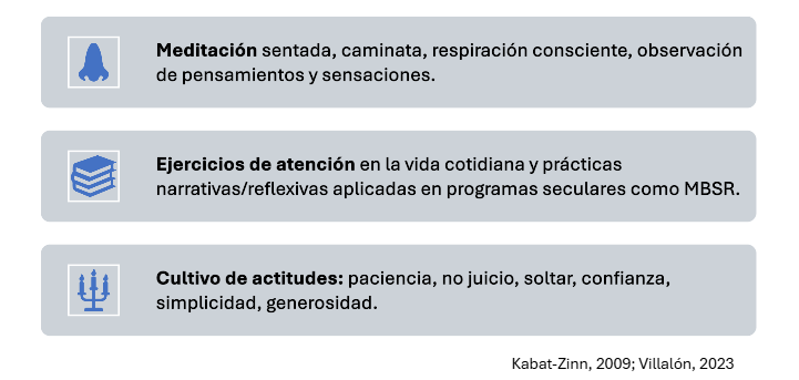 practicas